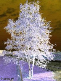 tree: negative image