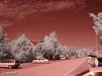 infrared photography