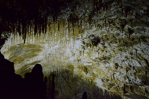 Crag Cave, Castleisland, Co. Kerry, Ireland