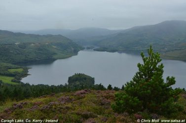 Kerry, Irland (anklicken zum Vergössern)