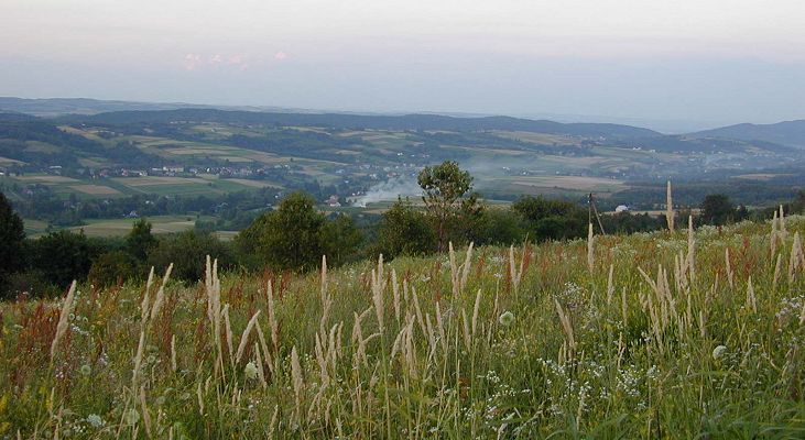 Polen: grün wie Irland